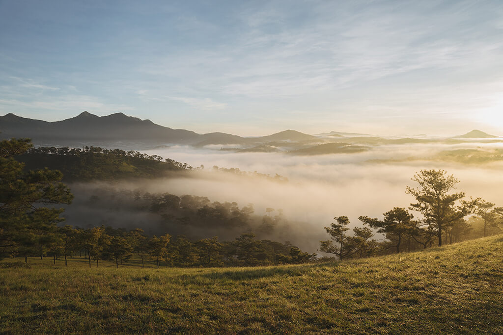 Tiến & Tâm Wedding