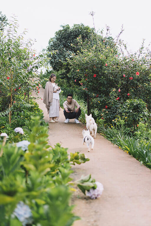 Tiến & Tâm Wedding